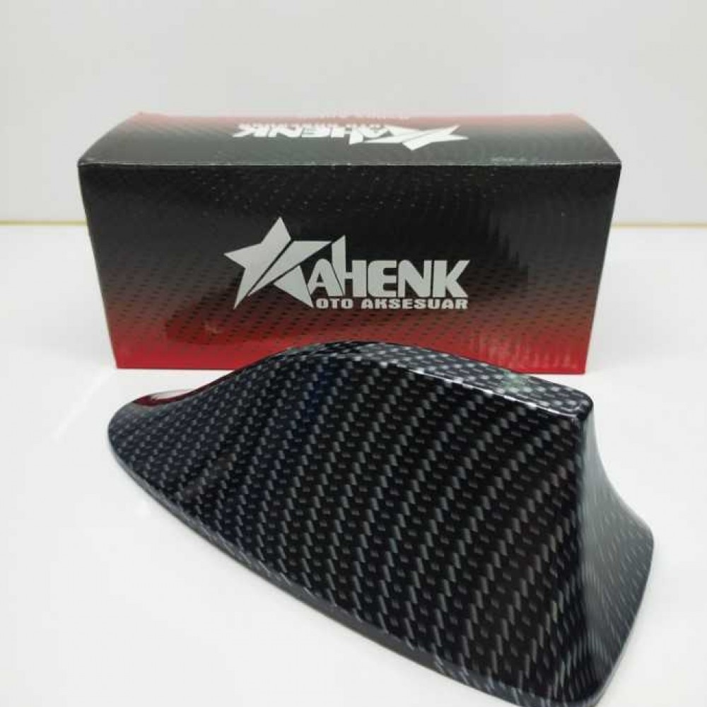 AHENK BALİNA ANTEN ELEKTRİKLİ KARBON 1