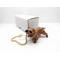  ZİNCİRLİ PORSELEN KÖPEK CARFLY